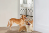Brixy & Blanket Hero Image