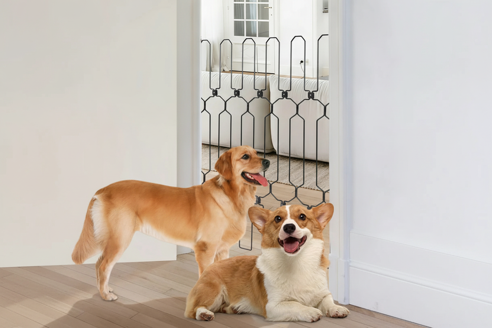 Brixy & Blanket Hero Image